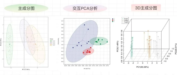 SCI级PCA图表合集（静态 | 交互 | 3D）