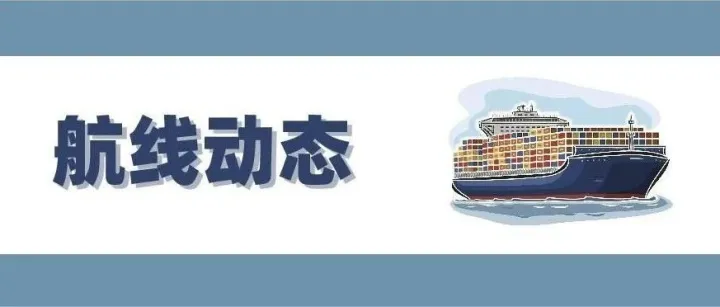 航线动态丨美西南快线暂停/美东、欧地航线挂靠港调整