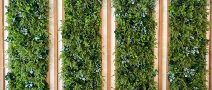 后院种菜，年入10万刀？这个副业案例，我拆给你看