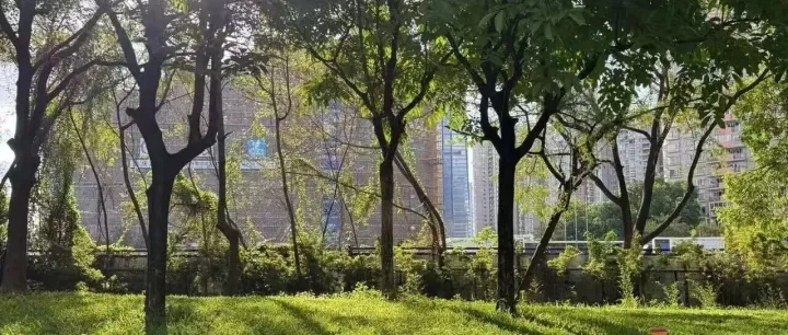 中药洗发水出海失败的背后给我的启发