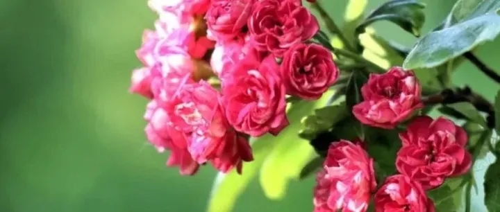 早读 | 内心丰盈，才是幸福的源泉