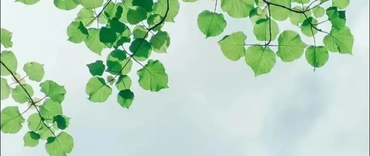 跨境赚钱第一步捂住自己的钱袋子