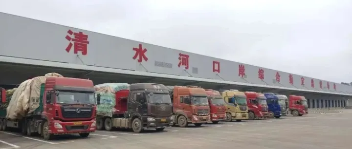 孟定清水河口岸进境粮食、水果指定监管场地通过国家验收