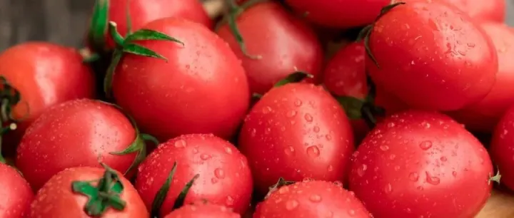 厦门采摘推荐来啦！柑橘、芭乐、圣女果、草莓...