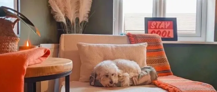 把「宇宙橙」，带回日常家