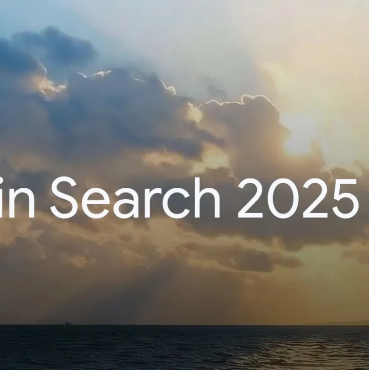 谷歌2025年度搜索趋势榜：Gemini，DeepSeek登顶热门榜首