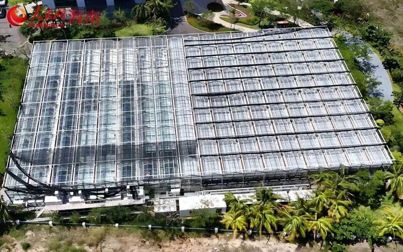 月亮島植物隔離苗畑を空撮した様子。撮影・符武平