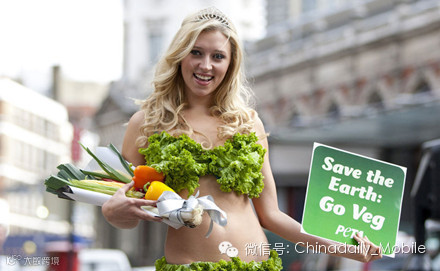 点击查看源网页