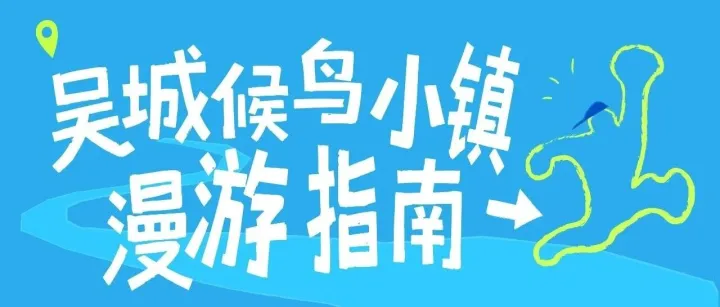 「候鸟集」请查收！吴城候鸟小镇漫游指南！