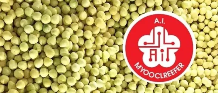 【冷链服务】福建蜜柚出口