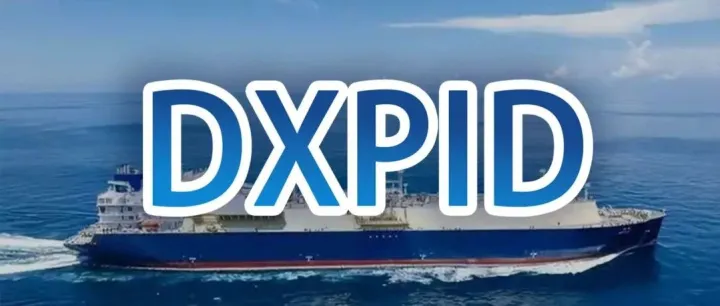 为什么你的 9810 订单编号生成不了？因为你没搞懂 DXPID！