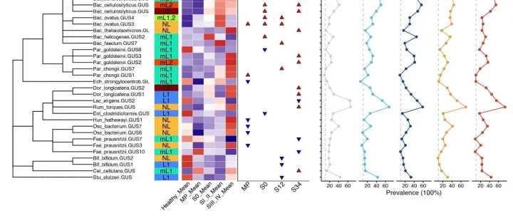 跟着NC学习多类型综合<em>图</em><em>绘制</em>