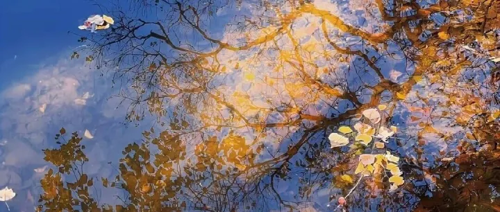 浮生<em>若</em>梦