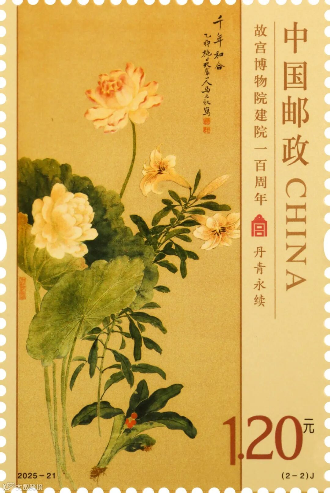 2025-21 (2-2)J单枚.jpg