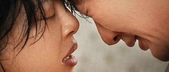 <em>辛</em><em>芷</em><em>蕾</em>影后之作VS铁血战士新作！