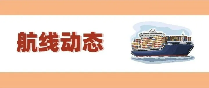 航线动态丨PA联盟优化服务网络：挂靠港调整与钟摆航线拆分