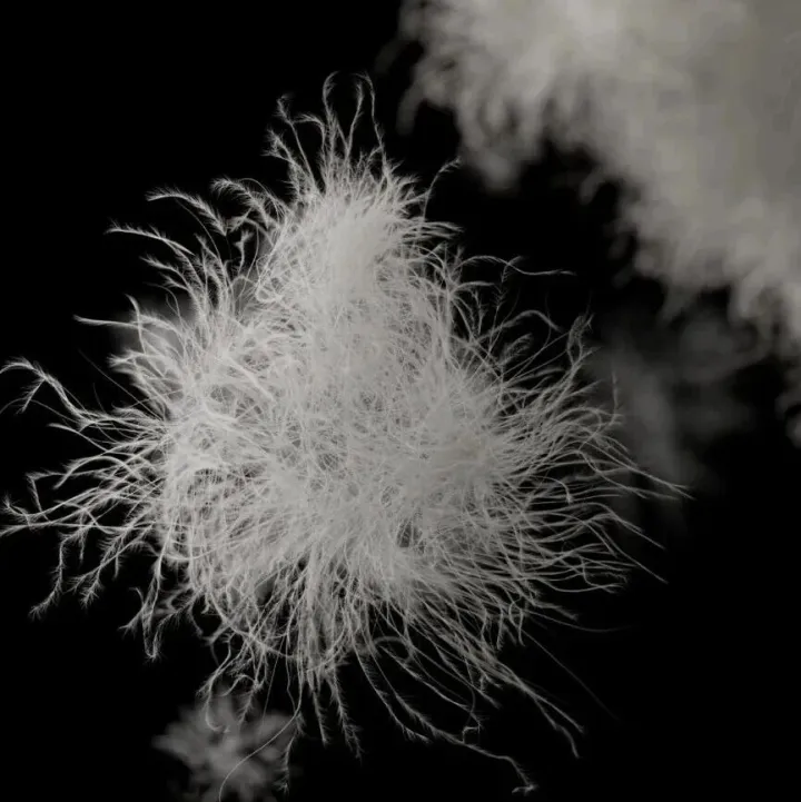 2025户外羽绒服市场全景扫描｜供应链·市场·爆款解读