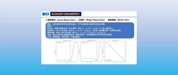 【定量因变量机器学习】Python02-Lasso回归、岭回归、弹性网络（Elastic Net）标准化代码