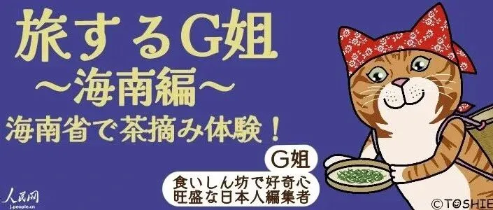 【旅するG姐～海南編④～】海南省で茶摘み体験！