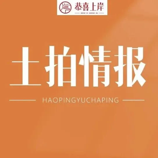 2025年北京第9批次供地解读（附买入测评）