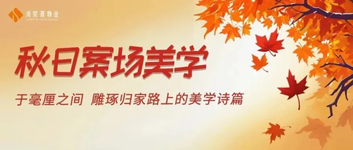秋日案场，邂逅生活中的温暖美学