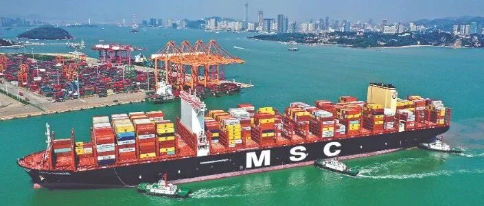 美国大豆出口协会负责人：美中在低碳生产领域存在巨大合作机会