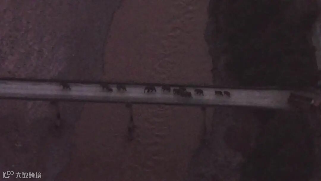 1628437766897980.jpg?x-oss-process=style/w10