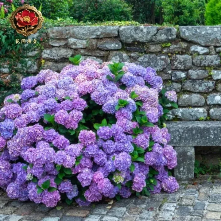 朗诵 | 余生，感恩生活，感谢自己！