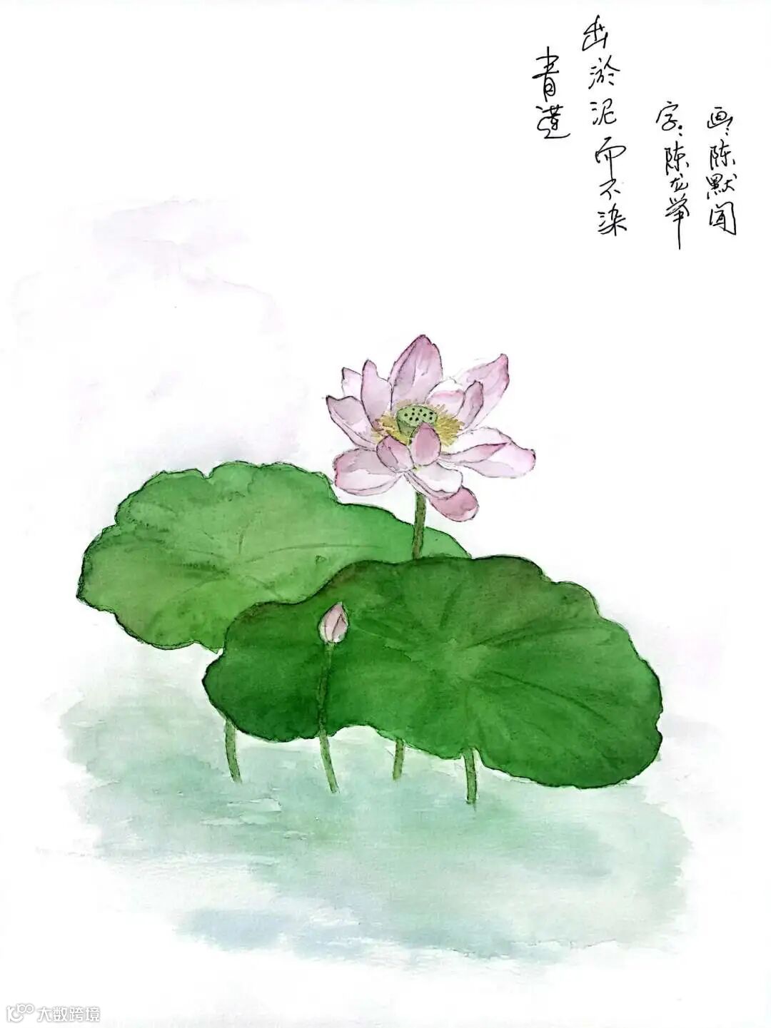 青莲——港中旅华贸国际物流有限公司 陈龙举 (扬州).jpg