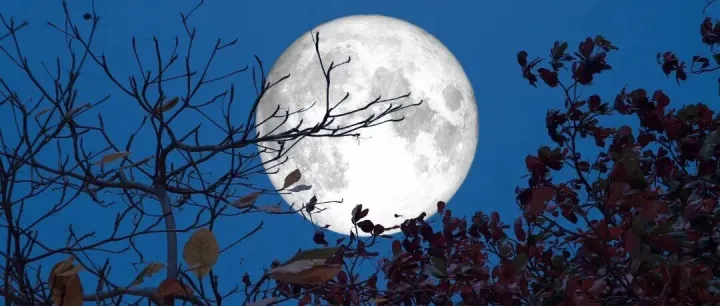 2025最后一次“超级月亮”即将登场！最佳观测时间+厦门观赏地推荐！