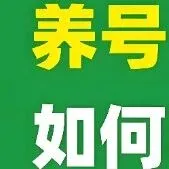 TK养号这样做，流量不用愁