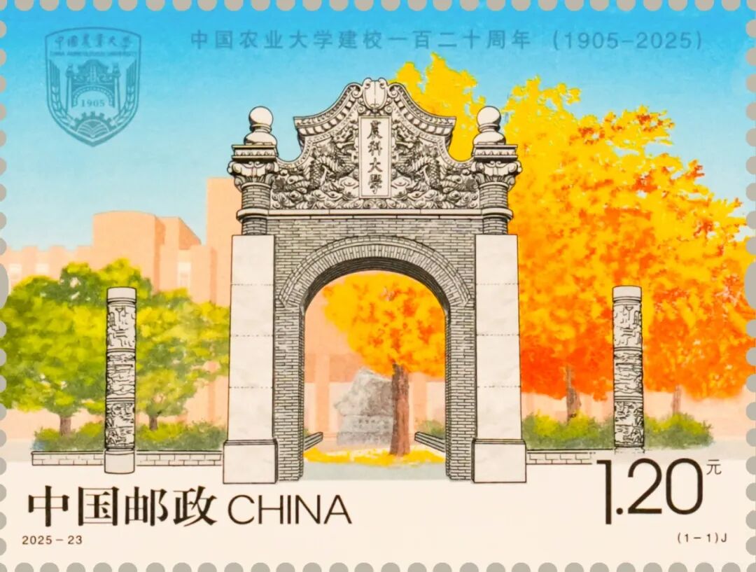 2025-23（1-1） 单枚.jpg