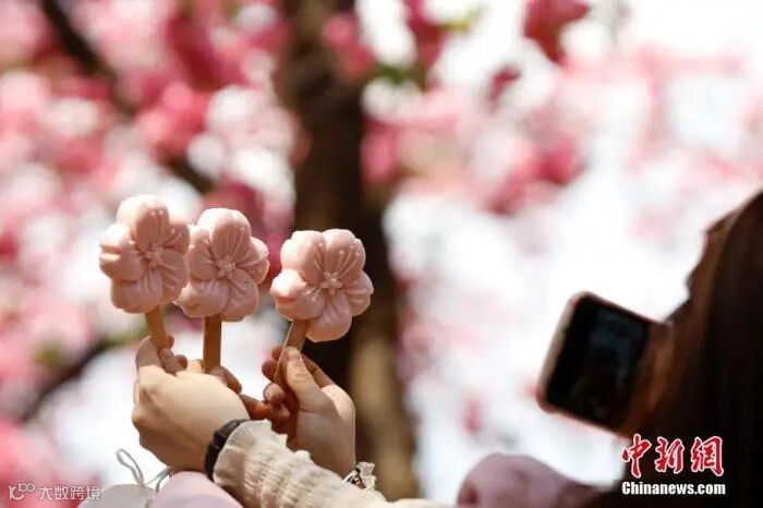 资料图:游人手持樱花文创雪糕拍照。 <a target='_blank' href='/'>中新社</a>记者 李嘉娴 摄