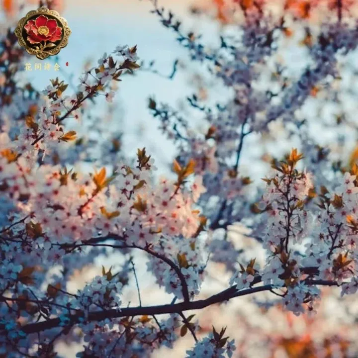 朗诵 | 世事纷扰，学会释怀