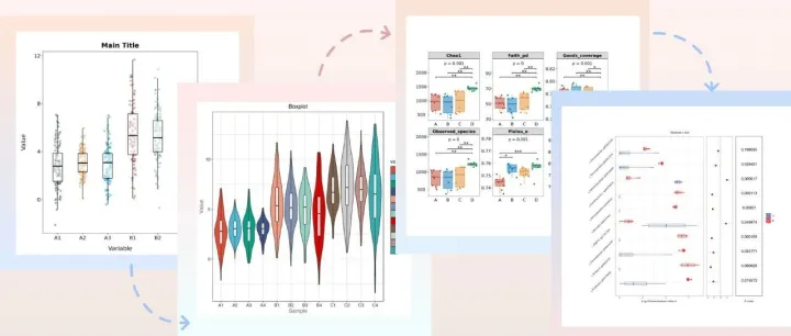 解锁四款高阶箱线绘图分析