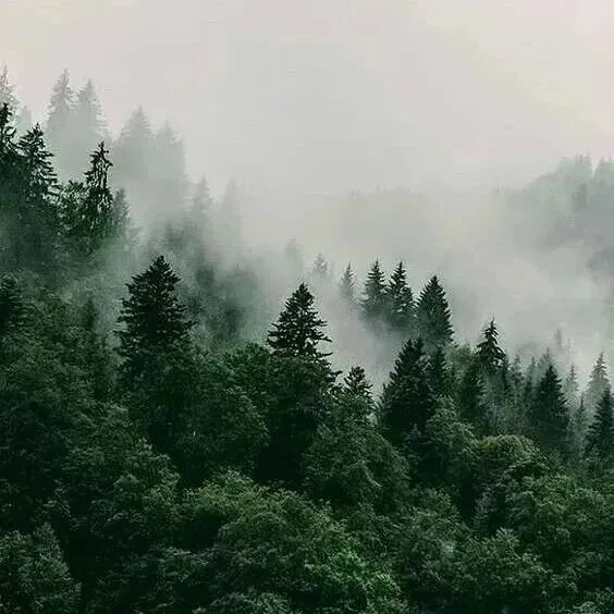 重塑<em>数据</em>根基： <em>Data</em>+<em>AI</em> 多模态<em>数据</em>湖实战