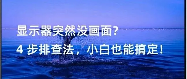 显示器突然没画面？4 步排查法，小白也能搞定！