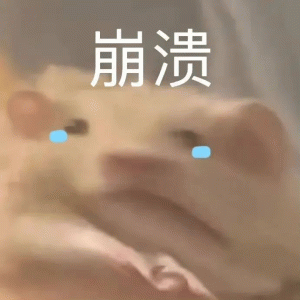 崩溃 可怜兮兮的小动物，配上“崩溃”文字，尽显无奈表情包图片gif动图 - 求表情网,斗图从此不求人!