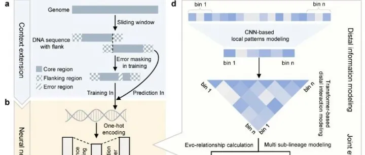 技能分享|利用ANNEVO从头注释基因组文件