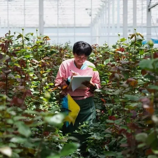 云品出滇 | 云南加快建设高原特色农业强省