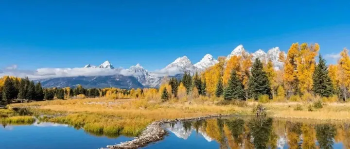 必应中文搜索的算法漏洞与<em>白</em><em>帽</em>突围：2026年<em>SEO</em>实战推演（附核心<em>数据</em>）