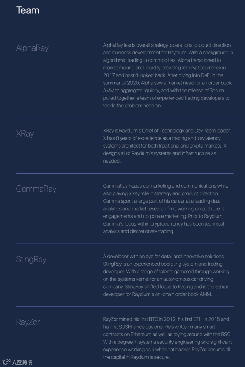 项目分析| Raydium为DEX而生的去中心化交易平台新基石- 大数跨境