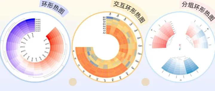 三种环形热图，解锁数据表达新维度