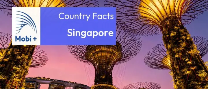 Country <em>Facts</em> - 新加坡
