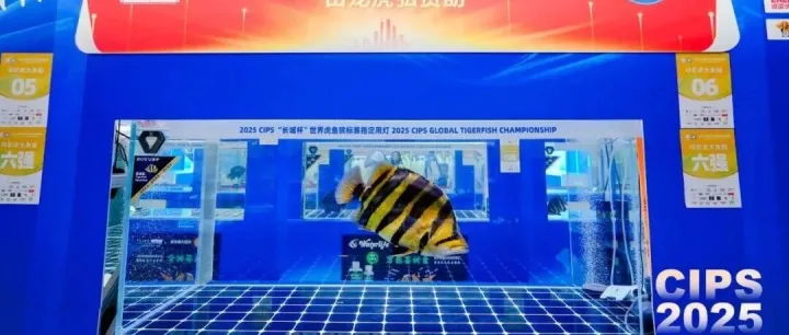 CIPS 2025回顾 | 无限 <em>INFINITY</em> 水族盛宴