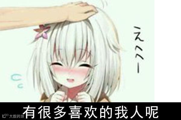 图13:对七种主流编程语言的跳槽