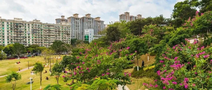 厦门9个好玩又好逛的小众公园推荐！（第一弹）