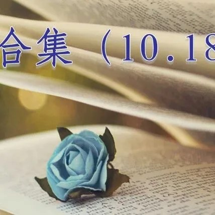 资源合集（10.18）与检索方法