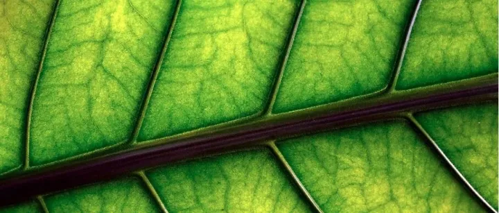 DBeaver：SQL可视化工具