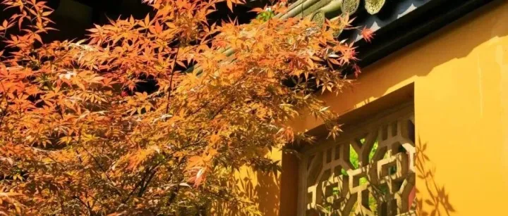 <em>厦门</em>坐<em>高</em><em>铁</em>直达，6个绝美赏秋城市推荐！